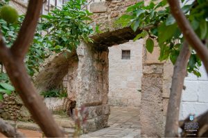 galleria foto posto divino ai tolomei (13)